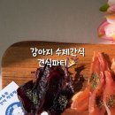 견식파티 이미지