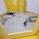 청주고양이카페아이캣유 이미지