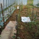 둥지민박 이미지