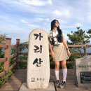 야시대로 | 홍천 가리산 최단코스 1시간 30분 야시대로 인근 주차정보