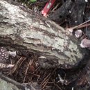 산성농장 이미지