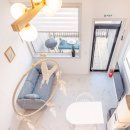 고성국화꽃향기 이미지