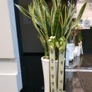 잠원동휴먼타워 이미지