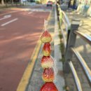대단한탕후루인천왕길점 | 대단한탕후루 인천왕길점 (또또또또간집) 후기 (feat. 내돈내산)