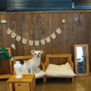 아카데미유치원 이미지