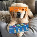 온정약국 이미지