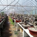 한솔농원 이미지