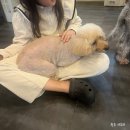 독크루북구점 이미지