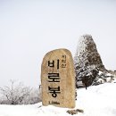 [블랙야크100대2025년1월18일토요일] 원주 치악산(1,240m)[국립공원] 눈꽃 산행안내 이미지