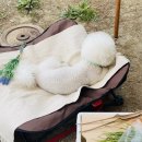 순긋 공중화장실 | 강릉 사근진해변/순긋해변 뷰 야영장, 곰앤패들보드캠핑장(애견동반)