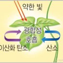 동진산소 이미지