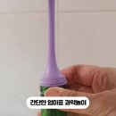 실험으로 알아보는 재미난 과학 이미지