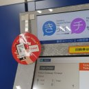 도쿄 #0 | 진에어 일본노선 수하물 쿠폰(25kg), VisitJapanWeb, 도쿄 지하철패스, 도쿄 숙소 위치 추천...
