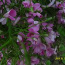 양지어린이집 이미지