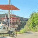 소포석유 이미지