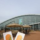 일월수목원전시온실 | 일월 수목원 2탄 - 일월수목원 전시온실 산책 " 식물들을 보며 사람을 생각하다.