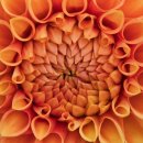 전원숯불사곡점 이미지