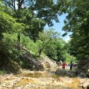 청강수계곡펜션 이미지