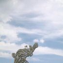 구룡장어식당 이미지