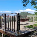 YOLO갈맷길 8코스 이미지