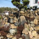 진짜순대 이미지