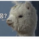 살롱6(역삼3호점) 네이버블로그
