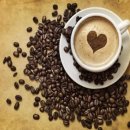 커피에 대한 상식 10가지 이미지