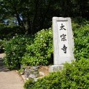 태원 유람선선착장 입구 이미지