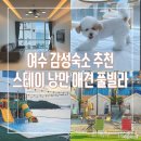 낭만스테이 | 다시 찾아간 여수 스테이 낭만 애견 풀빌라 이유 있는 재방문기
