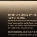 메타케이브 이미지