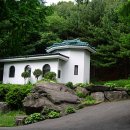 겟세마니동산 이미지