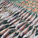 도화전통시장 이미지