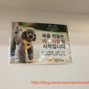 폴리파크 역삼점 네이버블로그