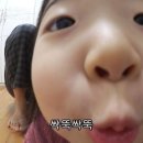 왈왈이 - 원주시 | 왈왈이