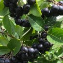 황간면주민자치센터 이미지