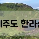 한라여행사 이미지