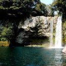 천지연폭포 이미지