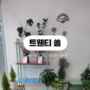 트웬티쏠