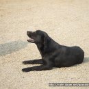 두아름농장 이미지