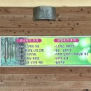 자갈치효소편백원 이미지