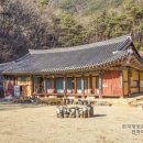 상주 남장사 관음선원 목조관음보살좌상 이미지
