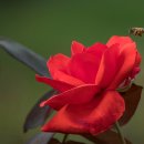 여울목수변공원 이미지