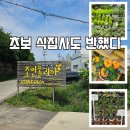 뷰티정글하우스 | 파주 조인폴리아 식집사 성지 다녀온 후기