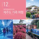 가로판매대53 | 제주도 가족 여행 코스 추천 제주레일바이크 외