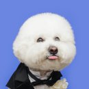 달링동물병원 이미지