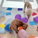 동래유치원 이미지