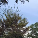 향가유원지 인증센터 이미지