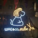 웨그앤코(WAG&CO) 이미지