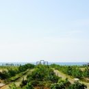 월드아카데미 네이버블로그