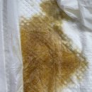 부산종합동물병원 이미지